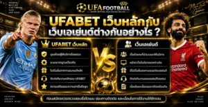 UFABET เว็บหลักกับเว็บเอเย่นต์ต่างกันอย่างไร